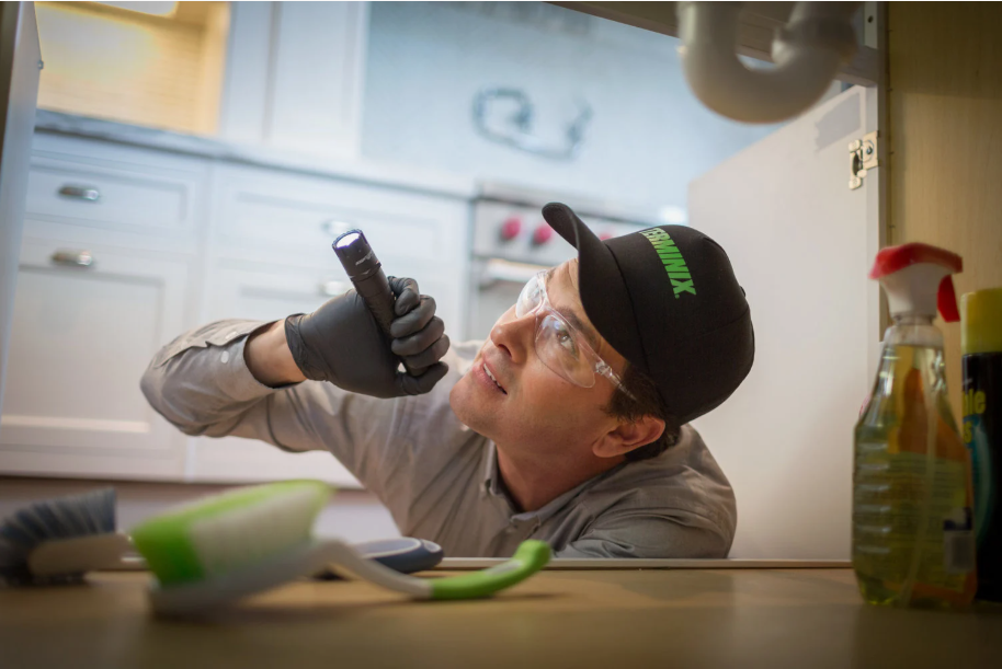 Sidney Pest Technicians